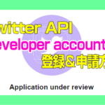 Twitter API：Developer accountの登録＆申請方法